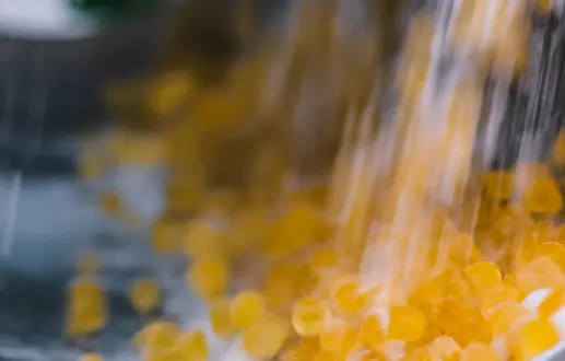 Perfecting the Sweet Finish: Sugar Coating Solutions