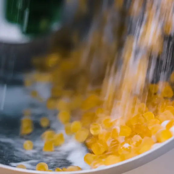 Perfecting the Sweet Finish: Sugar Coating Solutions