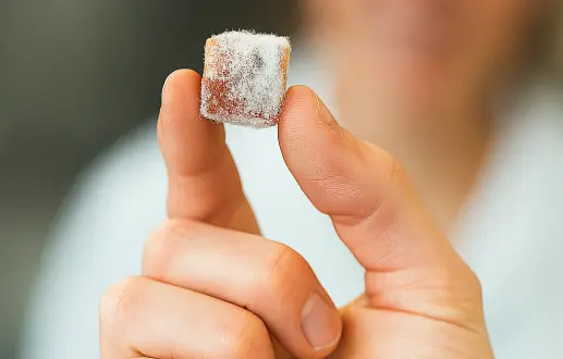 Understanding Moldy Gummies: Causes and Prevention